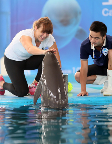 与其明星球 与其明星球